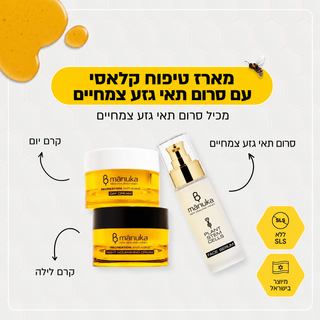 תאי גזע : מארז טיפוח קלאסי