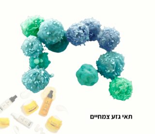 תאי גזע צמחיים ומוצרי בימנוקה